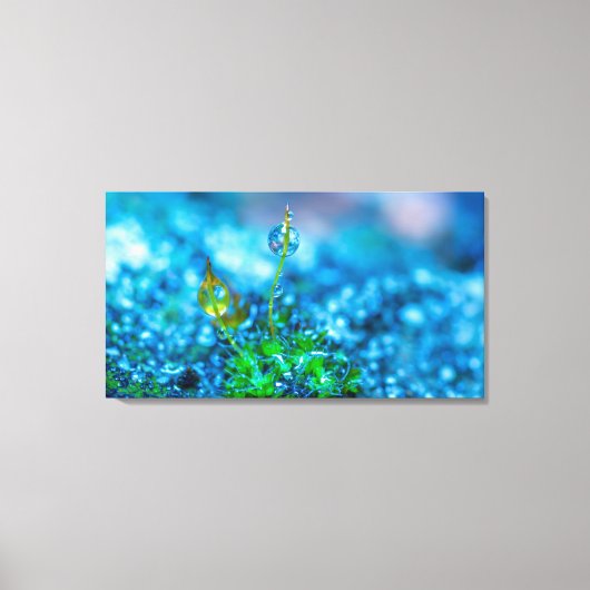 キャンバスアート – 水滴の草 (正面)