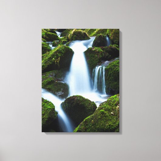 キャンバスアート – 滝 (正面)