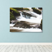 キャンバスアート – 滝 (インサイチュ (ウッドフロア))