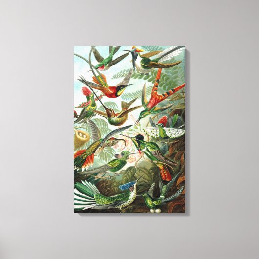 キャンバスアーンストハイケルトロチリズハミングバード キャンバスプリント (正面)