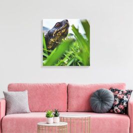 キャンバスタートルクローズアップ キャンバスプリント