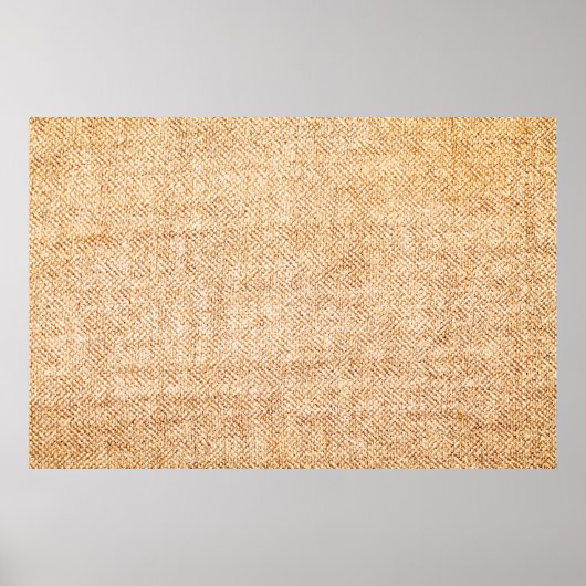 キャンバステクスチャ ポスター (正面)