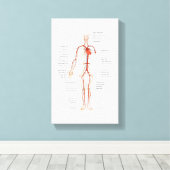 キャンバスヒト動脈の循環系 キャンバスプリント (インサイチュ (ウッドフロア))