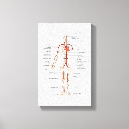 キャンバスヒト動脈の循環系 キャンバスプリント (正面)