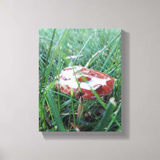 キャンバスプリント (正面)