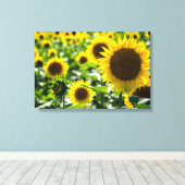 キャンバスプリント ひまわりの花畑の写真 (インサイチュ (ウッドフロア))