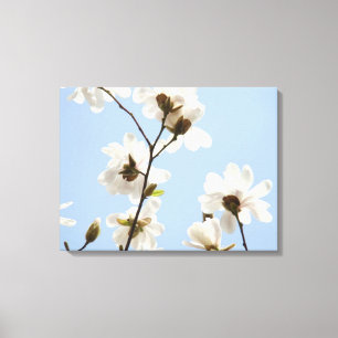 キャンバスモクレンの花の木アートプリント キャンバスプリント