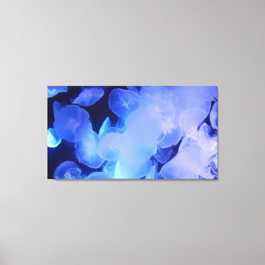 キャンバス上のクラゲ20 "x 16" キャンバスプリント (正面)