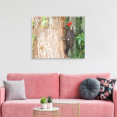 キャンバス上のパイレーテッドウッドペッカー キャンバスプリント (インサイチュ (リビング))