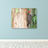 キャンバス上のパイレーテッドウッドペッカー キャンバスプリント (インサイチュ (ウッドフロア))