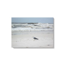 キャンバス上の海でカモメ