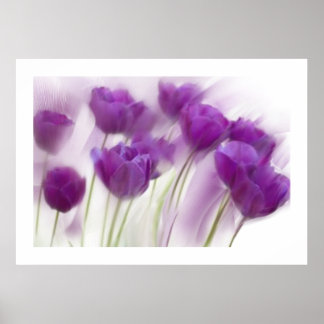 キャンバス上の静止ライフ ポスター