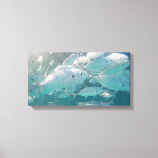 キャンバス上の魚の学校20 "x 16" キャンバスプリント (正面)