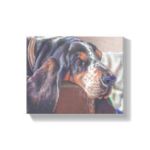 キャンバス上のbasset hound dogのカラーペンシルスケッチ