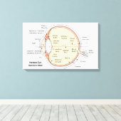 キャンバス人間の眼球解剖図 キャンバスプリント (インサイチュ (ウッドフロア))