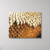 キャンバス印刷 – ひまわり種子 キャンバスプリント (正面)