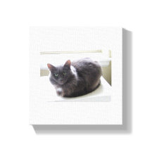 キャンバス印刷