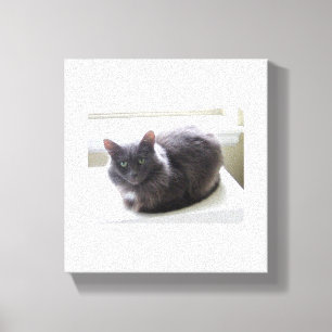 キャンバス印刷 キャンバスプリント