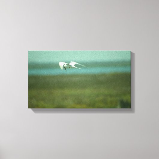 キャンバス印刷 – フライト中のパターン(v.2) キャンバスプリント (正面)