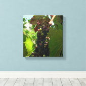 キャンバス印刷 – ブドウのクラスタつる植物 キャンバスプリント (インサイチュ (ウッドフロア))