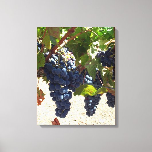 キャンバス印刷 – 紫ブドウつる植物 キャンバスプリント (正面)