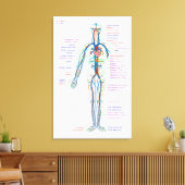 キャンバス図人間の循環系動脈 キャンバスプリント (インサイチュ (リビング))