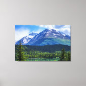 キャンバス (正面)