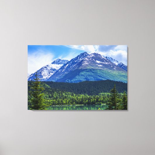 キャンバス (正面)