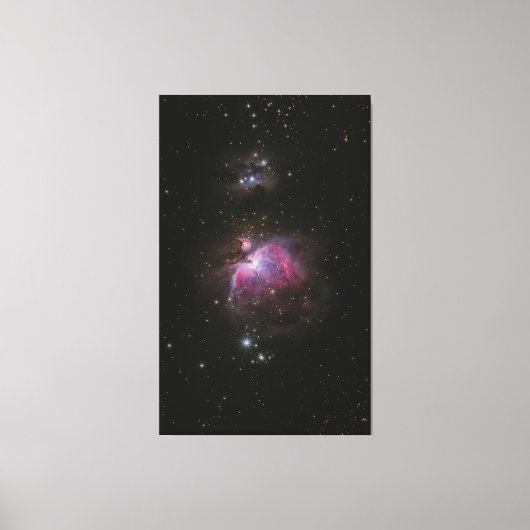 キャンバス (正面)