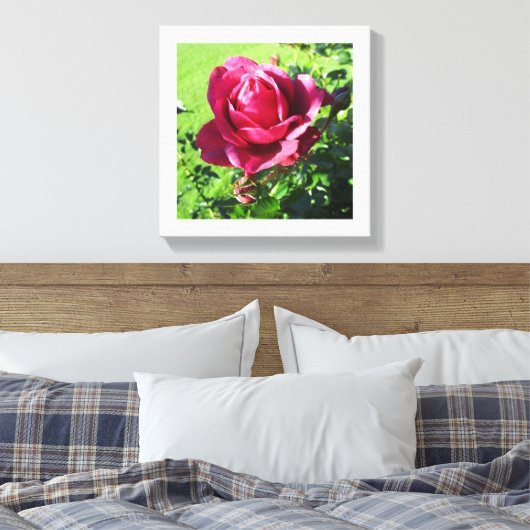 キャンバス (インサイチュ (寝室))