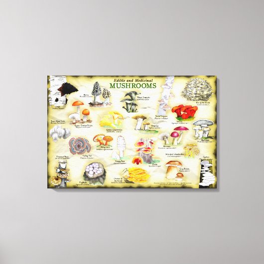 キャンバス30x20キノコ キャンバスプリント (正面)