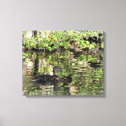 キャンバス： Mallard Duck and Ducklings キャンバスプリント (正面)