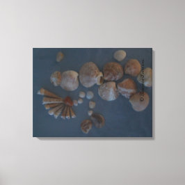 キャンバス(SeaShell Lady) RFPMDesigns ©️ 2012 キャンバスプリント