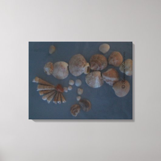 キャンバス(SeaShell Lady) RFPMDesigns ©️ 2012 キャンバスプリント (正面)