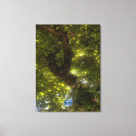 キャンバス(Sun Green Tree 2) RFPMDesigns ©️ 2021/24 キャンバスプリント