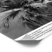 キャンパスシーン、UC Irvine、1967 ポスター (角)