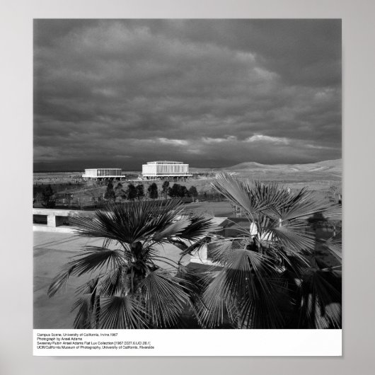 キャンパスシーン、UC Irvine、1967 ポスター (正面)