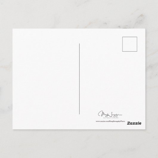 キャンパー生活は旅である。ピンクとグリーンのヒッピーを感じる ポストカード (裏面)