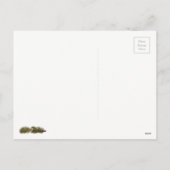 キャンピングおもしろいクリスマス シーズンポストカード (裏面)