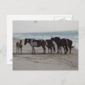 キャンピングオンサステアグ島 ポストカード (正面/裏面)