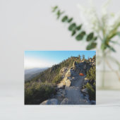 キャンピングオンザサンジャキンクレスト ポストカード (スタンド正面)