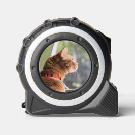 キャンピングキャット メジャー