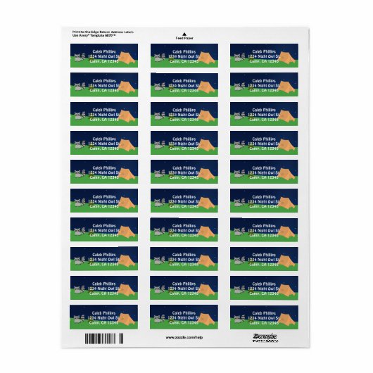 キャンピングキャンプアウトバースデーパーティー住所 シール (フルシート)