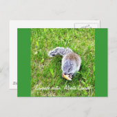 キャンピングサイドの訪問者 ポストカード (正面/裏面)