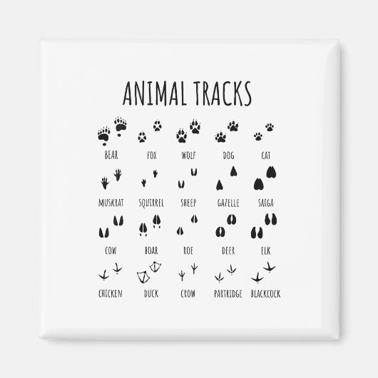 キャンピング用動物の足跡Tシャツ 自然探検 マグネット (正面)