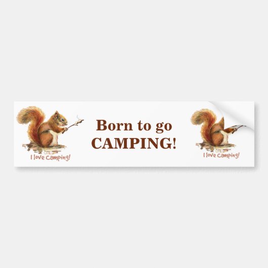 キャンピ生まれングおもしろいリスかわいい動物の引用文 バンパーステッカー (正面)