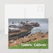 キャンブリア カリフォルニア ポストカード (正面/裏面)
