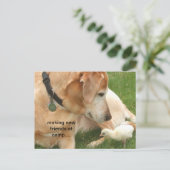 キャンプで新しい友達を作る ポストカード (スタンド正面)