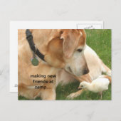 キャンプで新しい友達を作る ポストカード (正面/裏面)