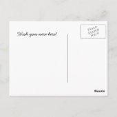 キャンプの連続した牛-郵便はがき ポストカード (裏面)